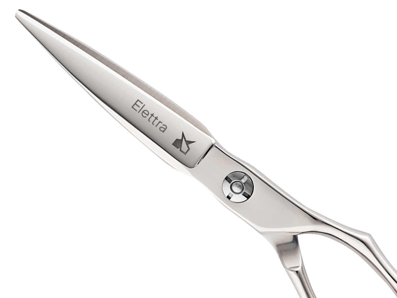 Професійні ножиці Leader Elettra - Blade Runner Shop | Інтернет-магазин інструментів для перукарів