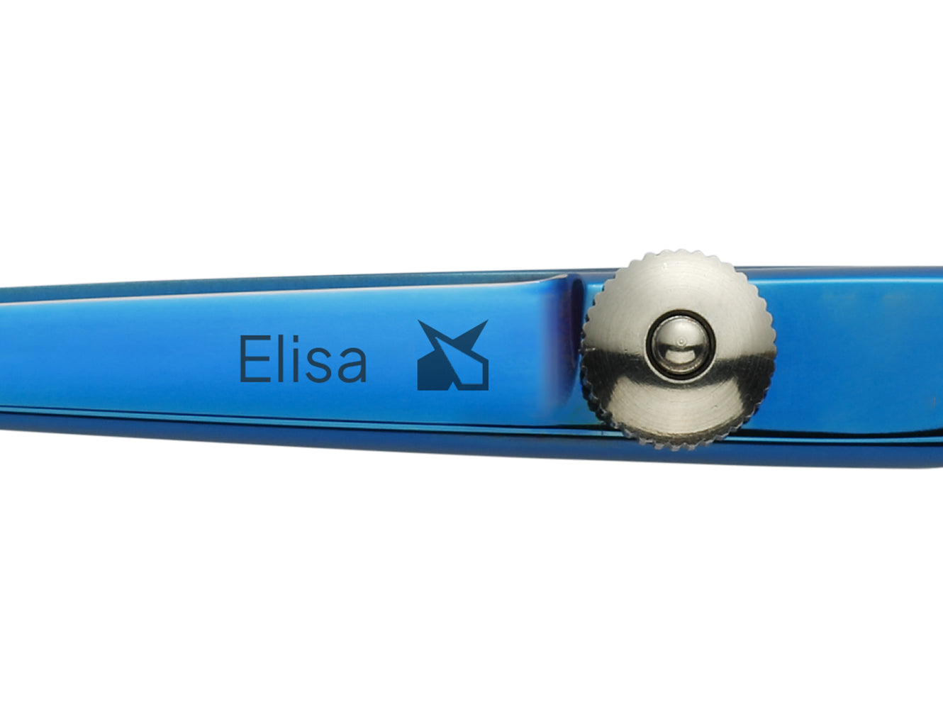 Професійні ножиці Leader Elisa Blue