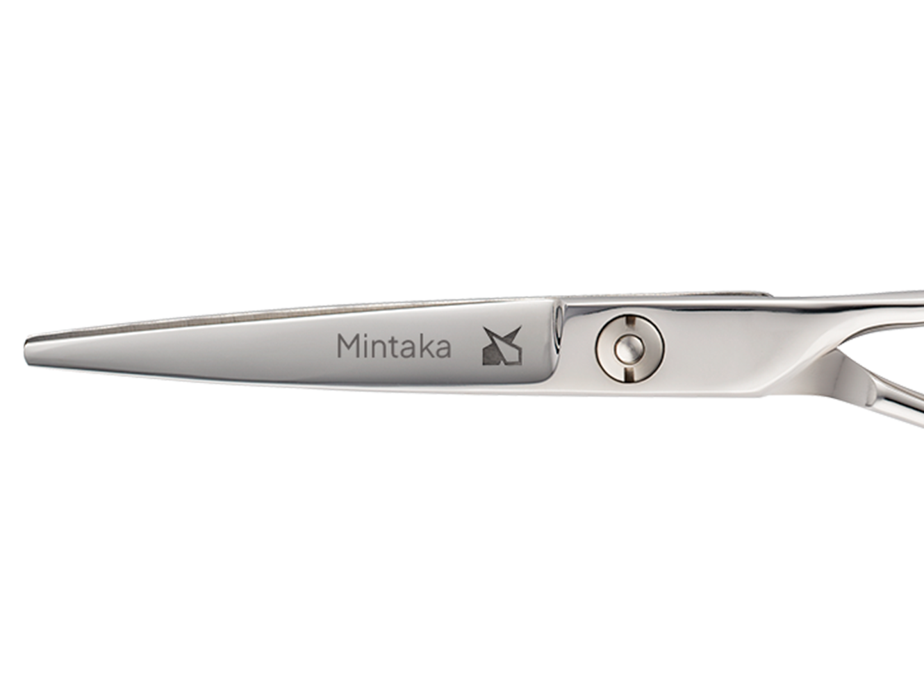 Професійні ножиці Leader Mintaka - Blade Runner Shop | Інтернет-магазин інструментів для перукарів