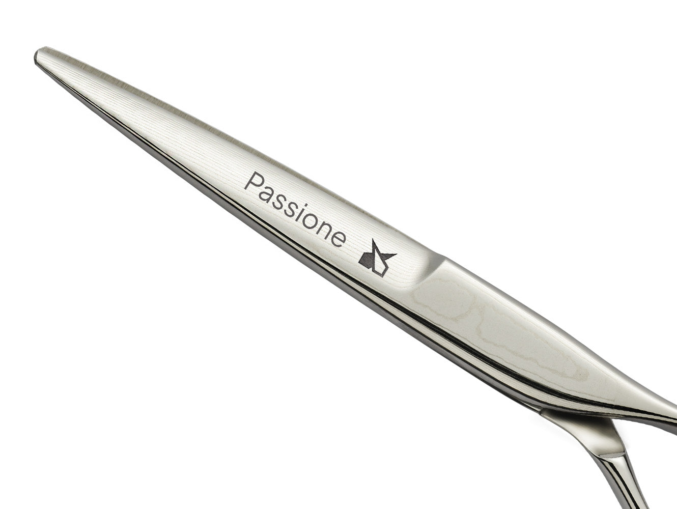 Професійні ножиці Leader Passione - Blade Runner Shop | Інтернет-магазин інструментів для перукарів